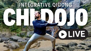 Chi Dojo Integrative Qigong  Live Qigong Class with Nick Loffree [upl. by Noitsirhc]