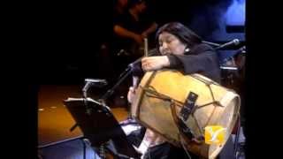 Mercedes Sosa Entre a Mi Pago sin Golpear Festival de Viña 1993 [upl. by Nareht]