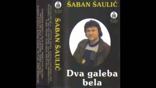 Saban Saulic  Lepotica grada  Audio 1979 HD [upl. by Alcott]