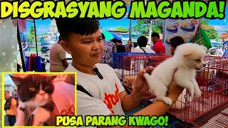 NALUSUTAN DAW ANO RESULTA PANALO MGA PUSA NI ATE KATH SA GROTTO PET TIANGGEAN [upl. by Mulcahy]