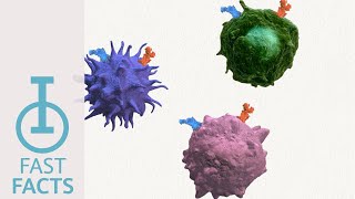 IOU Youtube How do CCR2 and CCR5 promote immunosuppression [upl. by Alidis]