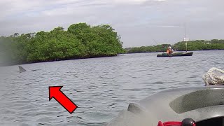 Saltwater Kayak Fishing Florida [upl. by Lillith]