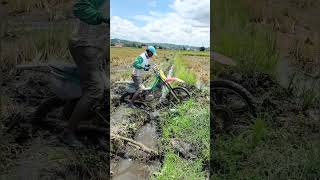 Tes motor pakai ban tractor di sawah [upl. by Ovida]