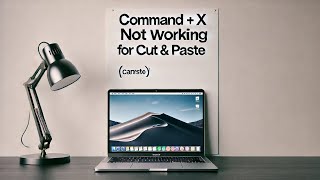 How to Cut Paste on MacBook or macOS [upl. by Ahcorb]