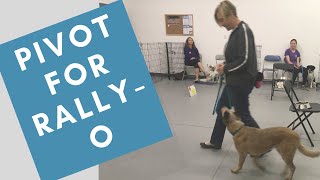 Teaching a Pivot for Rally Obedience and Fun [upl. by Harlan112]