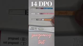 14 DPO Live Pregnancy Test infertility ttc pregnant shorts [upl. by Airbma]