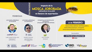 Foro Internacional sobre el impacto de la mosca jorobada en banano de exportación [upl. by Yrennalf]