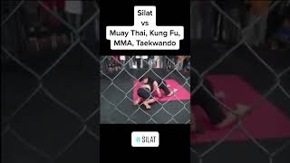 Silat vs other Martial Arts part 1 [upl. by Anadal]