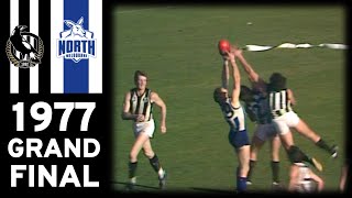 1977 VFL Grand Final  Collingwood Vs North Melbourne Extended Highlights [upl. by Cattan314]