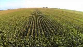 Drones Poised to Elevate Agricultural Efficiency [upl. by Enylorac]