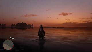 Silver Tail Buckskin American Standardbred  No Music  IRL Horse RDR2 amp Online [upl. by Andrey]