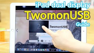 TwomonUSB Using Video [upl. by Adnotal]