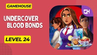 GameHouse Undercover Blood Bonds Level 24 [upl. by Lateehs]