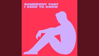 Somebody That I Used To Know [upl. by Colville]