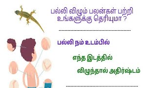 பல்லி விழும் பலன்கள் பற்றி உங்களுக்கு தெரியுமா  Palli Vilum Palan in tamil  balli sastram [upl. by Beckerman198]