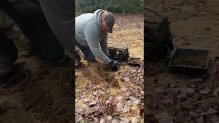 Coyote trapping with trench sets [upl. by Solberg]