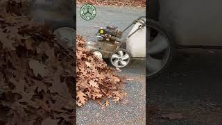 Vacuuming up leaves on the driveway [upl. by Yelnet113]