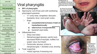 Respiratory infections [upl. by Freemon]