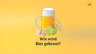 Kurz erklärt Wie wird Bier gebraut [upl. by Lehar]