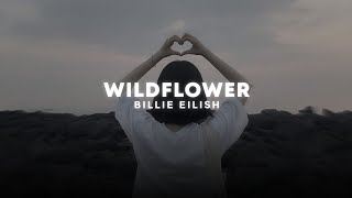 wildflower  billie eilish slowed  reverb [upl. by Anihsat959]