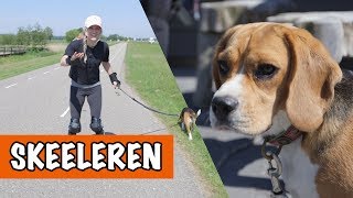 SKEELEREN MET MATZY  DierenpraatTV [upl. by Lenoyl]