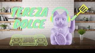 Lounge Set 2024  Melodic House Tribal House by Tereza Dolce [upl. by Dedrick]