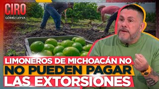 El próximo gobierno debe tomar acciones para evitar la extorsión a limoneros Páramo  Ciro [upl. by Peugia546]