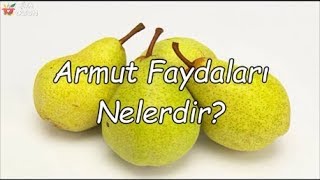 Armut Faydaları Nelerdir [upl. by Laise]