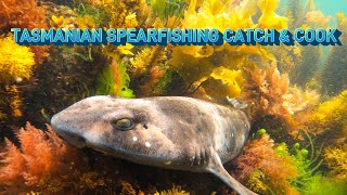 Spearfishing Catch amp Cook Flathead Abalone Winkles Friendly Sharks Giant Kelp Forests Chillout [upl. by Eladnwahs]