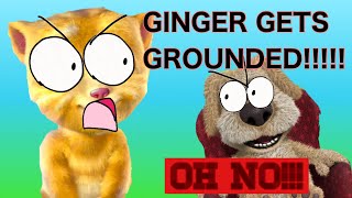 Talking ginger misbehaves with Talking Ben the babysitter￼￼grounded [upl. by Refinaj440]