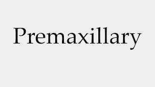 How to Pronounce Premaxillary [upl. by Tannenwald]