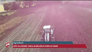 Agricoltura Aife alluvione circa 80 milioni euro di danni [upl. by Gavrila]