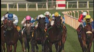 2003 Arlington Million fall  Chariots Of Fire [upl. by Aronoh]