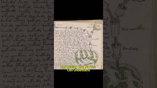 Voynich Manuscript [upl. by Seagrave]