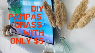 DIY Pampas Grass With Only 5 [upl. by Rma701]