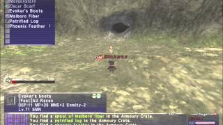 FFXI The Quest for Black Belt Modern Style [upl. by Kenta286]