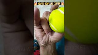 🔥 How to bowl a leg cutter🔥 cricket youtubeshorts legcutter [upl. by Airla114]