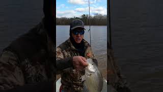 Catching Big Crappie on Kerr Lake in February [upl. by Maer]