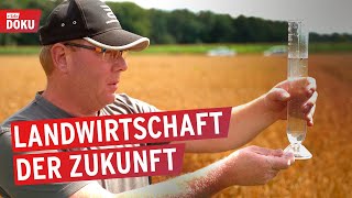 Bauer sucht Baum  Die Landwirtschaft der Zukunft  Unser Leben  Doku [upl. by Enelkcaj521]