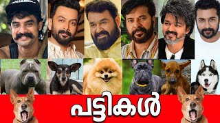 🐩🤯ഞെട്ടിപ്പോകും🙆‍♀️ നടന്മാരുടെ കോടികളുടെ പട്ടികളെ കണ്ടാൽ 🤯 💰TOP 10 LUXURY DOGS of Malayalam Actors🐩🤯 [upl. by Ennovyhc]