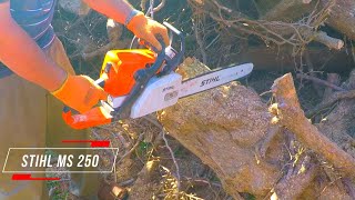 MOTOSIERRA STIHL MS 250  TALA DE ARBOL CAIDO POR LA TORMENTA [upl. by Aneej]