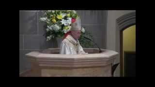 Homily Archbishop Carlo Maria Viganó visits the diocese [upl. by Greenquist]