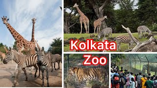 Kolkata zoo  ছুটির দিনে চিড়িয়াখানা  Zoological Garden in Kolkata  Zoological park [upl. by Derr]