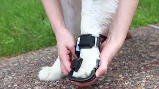 Walkin Bootie Splint for Pets  For Front or Rear Paw [upl. by O'Conner]