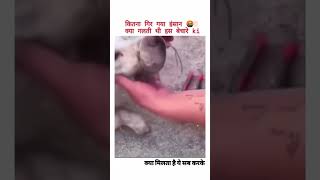 ritik dog kennel please help tha dog s 🥹🥹doglover video dogaggression trending love [upl. by Enelahs]