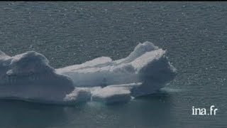 Danemark Groënland  bâteau rouge parmi les icebergs [upl. by Nolie954]