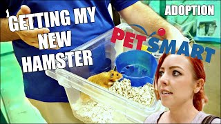 GETTING MY NEW HAMSTER  Petsmart Adoption  Syrian Hamster [upl. by Pearson]