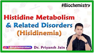 Histidine metabolism and related disorders  Hisidinemia  Medical Biochemistry  Dr Priyansh Jain [upl. by Farrington426]