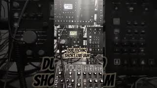 Dub techno short live jam  04a [upl. by Arikihs]