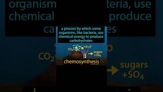 Chemosynthesis surajchem pgtneet iit jee11th amp12th chemistry board [upl. by Nahtanaoj362]